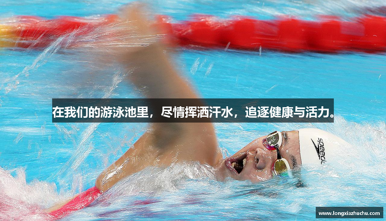 在我们的游泳池里，尽情挥洒汗水，追逐健康与活力。